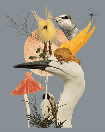 Animals